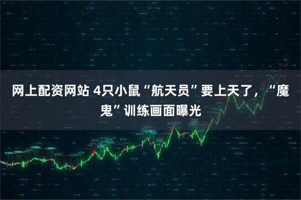 网上配资网站 4只小鼠“航天员”要上天了，“魔鬼”训练画面曝光